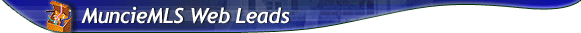Web Leads